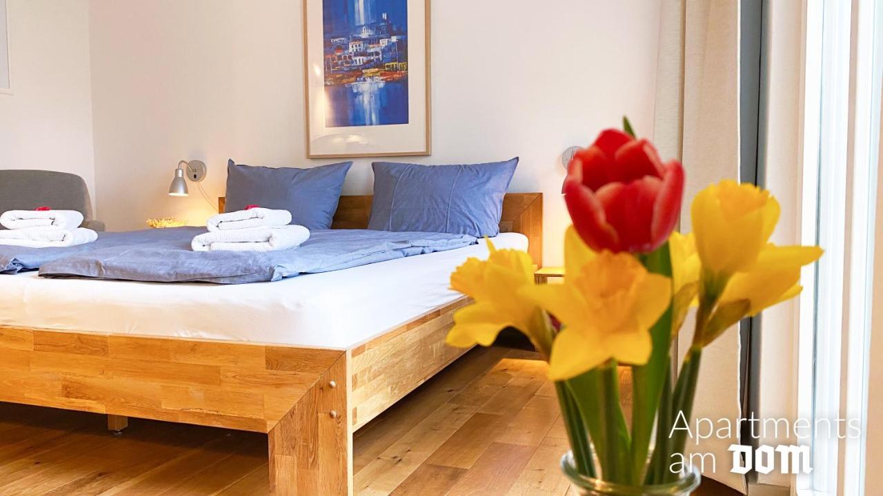 Apartments Am Dom ナウムブルク エクステリア 写真