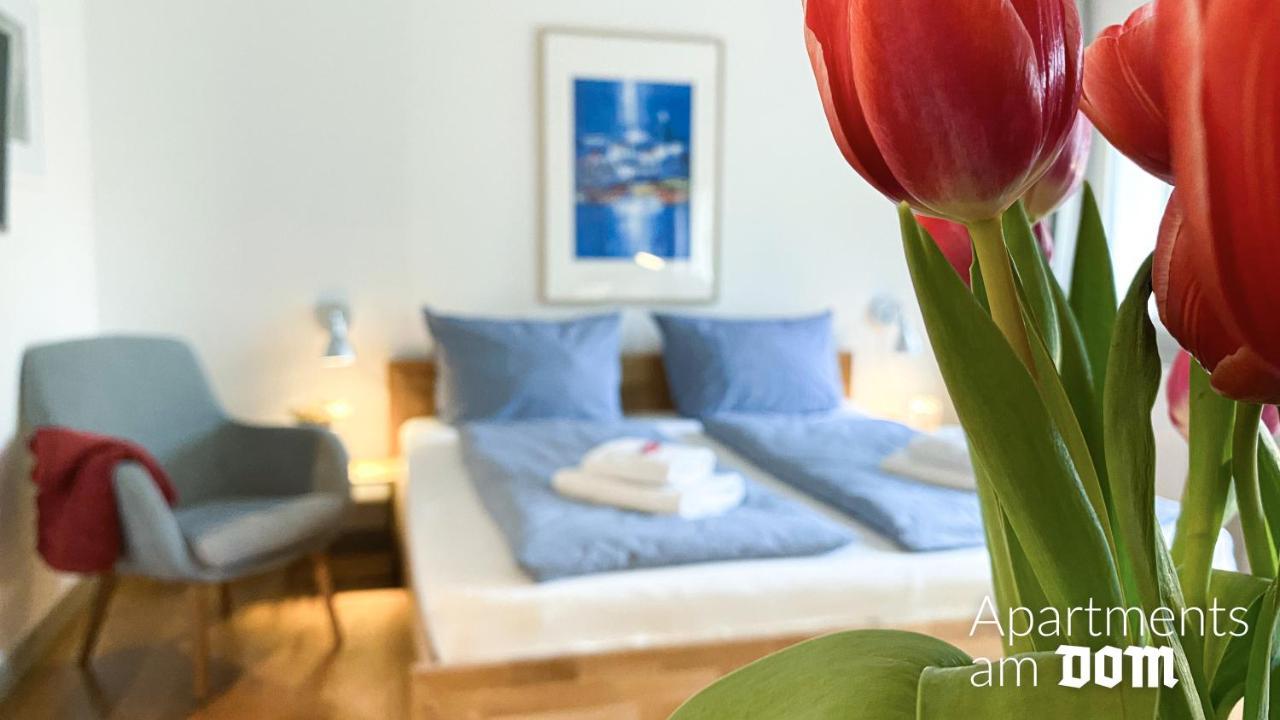 Apartments Am Dom ナウムブルク エクステリア 写真